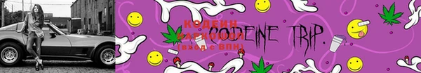 первитин Богородск