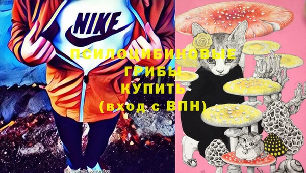 mdma Богданович
