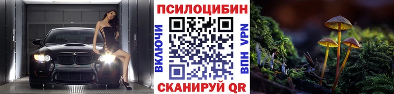 Галлюциногенные грибы Psilocybe  Кстово 