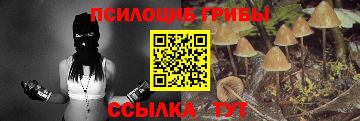 Кстово  Галлюциногенные грибы Magic Shrooms  Вход с VPN  Псилоцибиновые грибы Magic Shrooms 